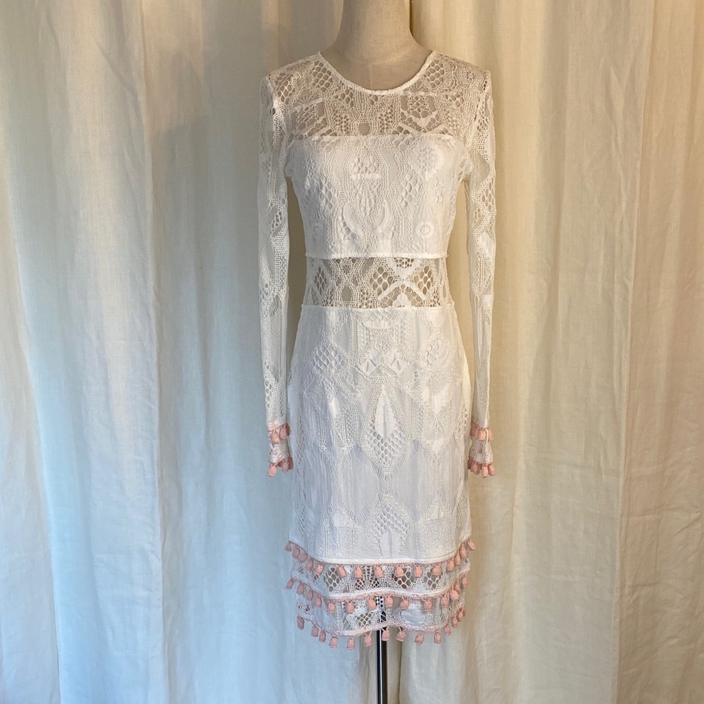 Venus Lace Dress - Picture 1 of 8